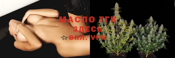 шишки Верхний Тагил