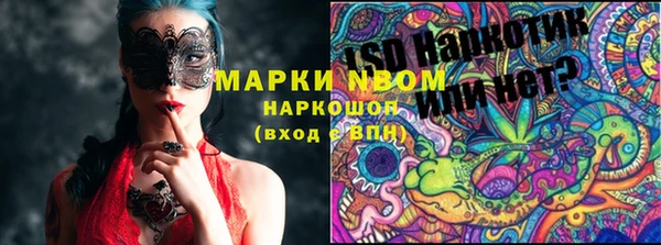 шишки Верхний Тагил