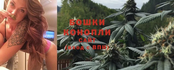 шишки Верхний Тагил