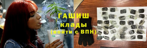 шишки Верхний Тагил