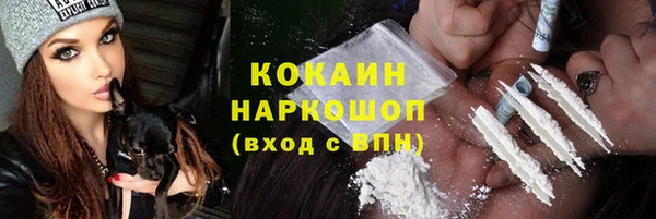 шишки Верхний Тагил